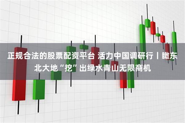正规合法的股票配资平台 活力中国调研行丨瞰东北大地“挖”出绿水青山无限商机