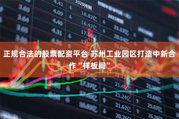 正规合法的股票配资平台 苏州工业园区打造中新合作“样板间”