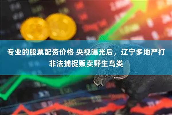 专业的股票配资价格 央视曝光后，辽宁多地严打非法捕捉贩卖野生鸟类
