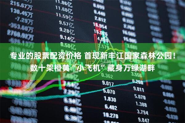 专业的股票配资价格 首现新丰江国家森林公园！数十架橙黄“小飞机”藏身万绿湖畔